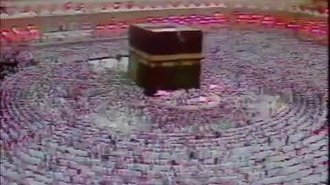 الشيخ علي جابر رحمه الله سورة الروم