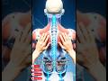 The Hidden Science of Massage | Inside the Human Body