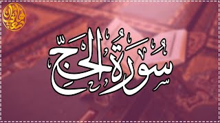 آيات الحج | ما تيسر من سورة الحج بصوت القارئ هاني شعبان