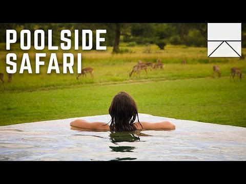 Go On An African Safari Without Leaving The Pool