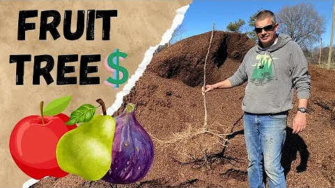 Making money selling FRUIT TREES!!