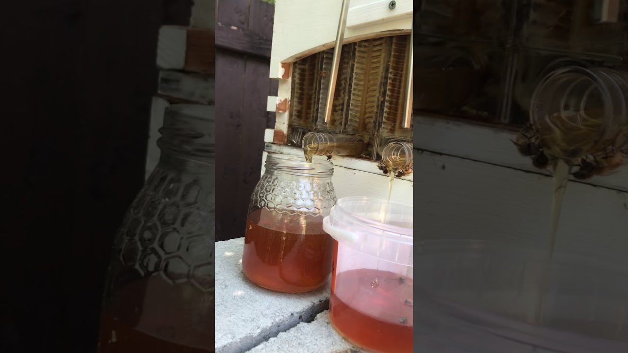 Flow hive double honey harvest part 2