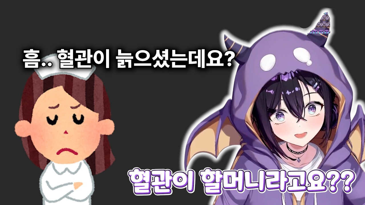 혈늙버 (혈관이 늙은 버튜버)