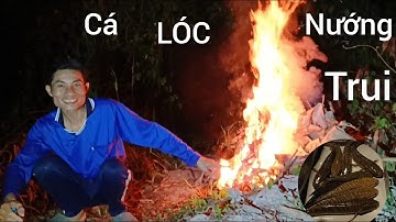 Cắm câu cá lóc đầu năm ll  thưởng thức món cá lóc nướng trui của người miền Tây