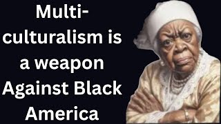 Multiculturalism is a weapon against Black America
