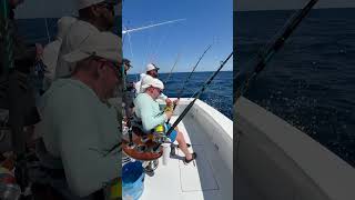The big tunas make you work for it #fishing #costarica #tuna #sportfishing #ocean #sushi