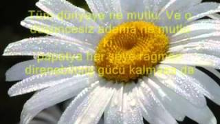 Seven Adam Ve Papatya