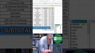 Excel Filter Total Not Showing? ✅ Fix with SUBTOTAL Formula | MSD Excel#exceltips #exceltrick #excel