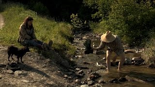 One Dirty Dog Alaska The Last Frontier