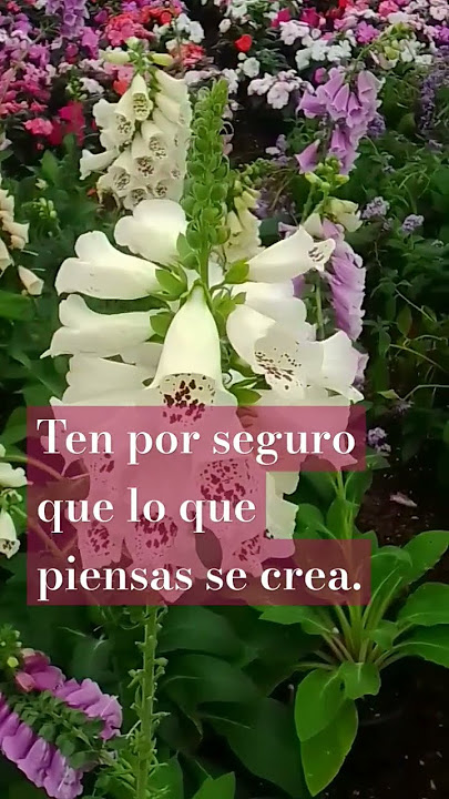 CUIDA MUCHO TU MENTE.# terapias de biodescodificación. &G*