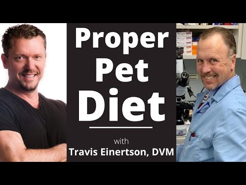 Is Kibble BAD for Cats/Dogs?? [Best Pet Food] Travis Einertson, DVM