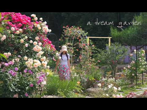#133. My Dream Garden, Finally Realized After 7 Years of Lonely Country Life