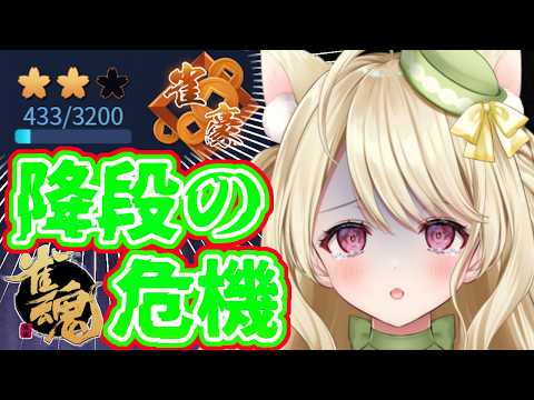 段位戦・安全圏まで上昇するのにゃ【雀魂】[第1269局]