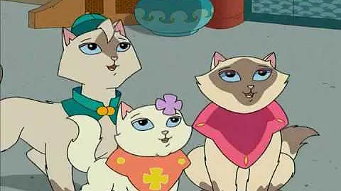 Sagwa The Chinese Siamese Cat- Royal Cats