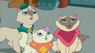 Sagwa The Chinese Siamese Cat Royal Cats