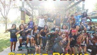 FHS C/o 2013 Senior Picnic