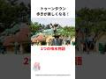 40秒で分かる!トゥーンタウンにあるアレの雑学#雑学 #ディズニー