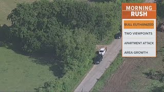 Man possibly killed by bull in Texas, says local sheriff