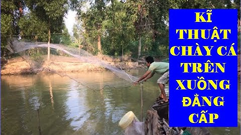KĨ THUẬT CHÀY CÁ TRÊN XUỒNG ĐẲNG CẤP THẾ GIỚI | CATCH FISH PART 8