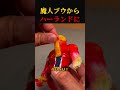 魔人ブウとハーランドってそんな似てる？検証します！