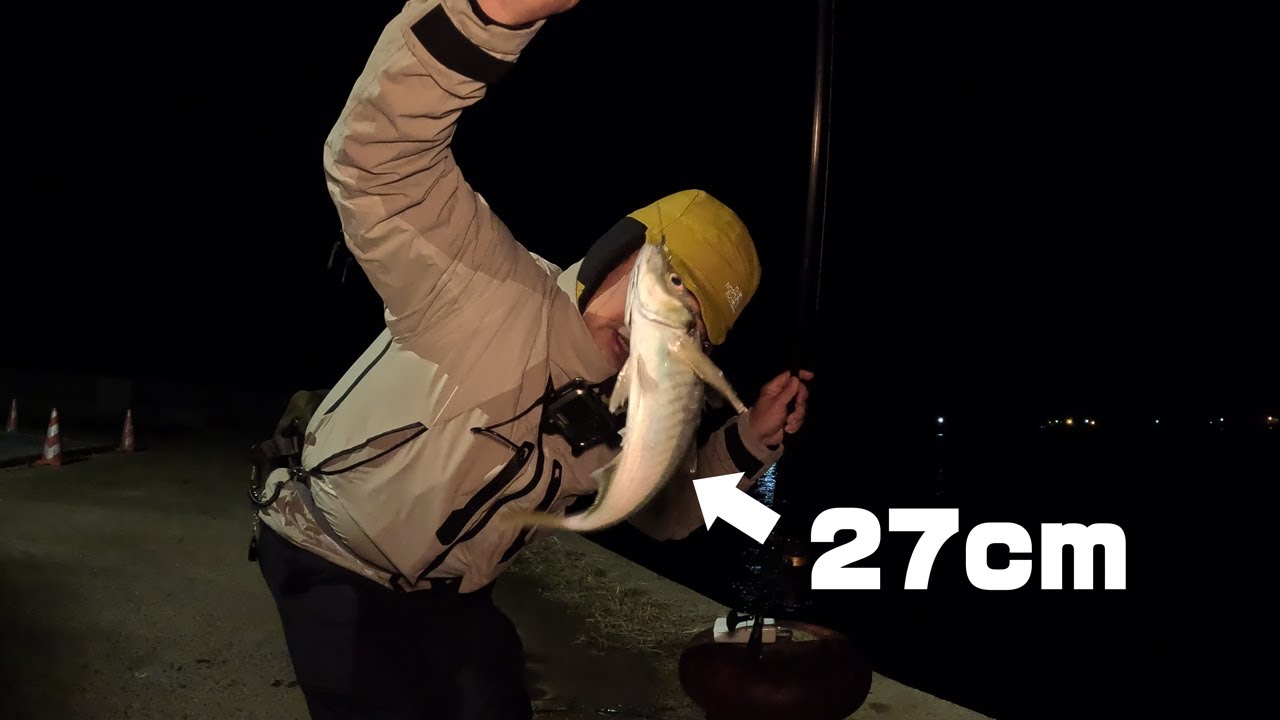 離島の夜の海に27cmのデカアジを泳がせた日
