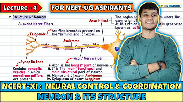 Lec 4- Neuron & Its Structure | Neural Control & Coordination | NEET | Class 11
