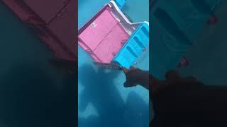 Clarinha Jogou Sua Cozinha Dentro Da Piscina