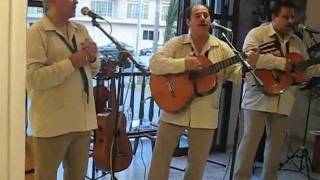 Video thumbnail of "Atrás del Sol (Gil Rivera) - Los Tres Huastecos"