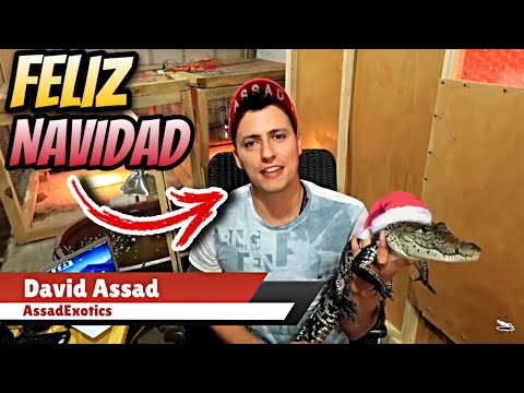 Feliz Navidad les desea el Grupo Canales del Mundo - YouTube