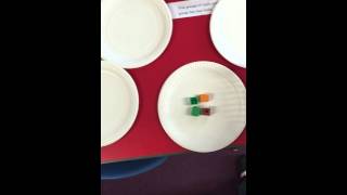 Making equal groups: practical Making Equal Groups With Cheerios