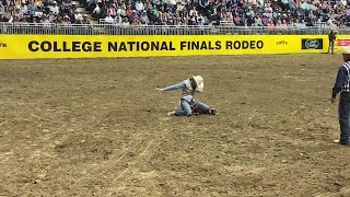 Gillette College&#39;s Haiden Thompson competes in goat tying during Saturday&#39;s short go of the CNFR.