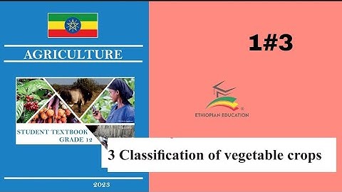 Ethiopian Grade 12 Agriculture 1#3 Classification of Vegetables