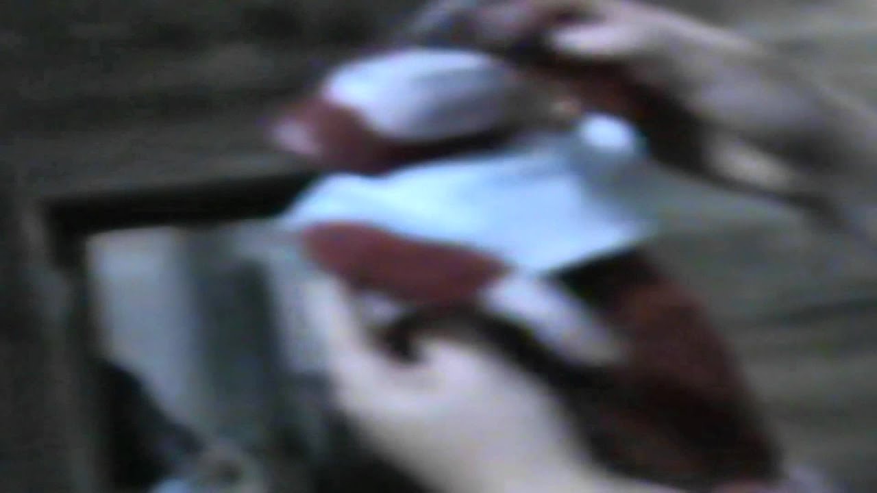 Pickford Studios in Venice 2011 - Biennale British Pavillion