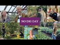 No Dig Day - 3rd November