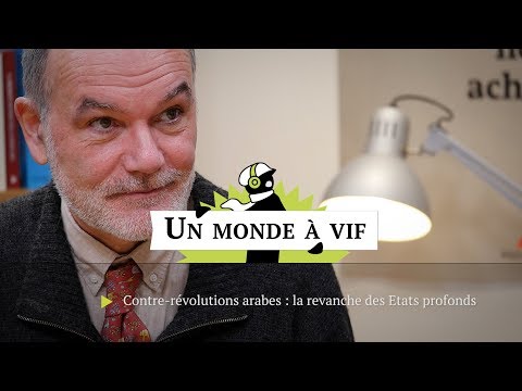 Contre-révolution arabe, la revanche des Etats profonds - Contre-révolution arabe, la revanche des Etats profonds
