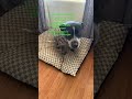 Please like and subscribe this took me like an hour 