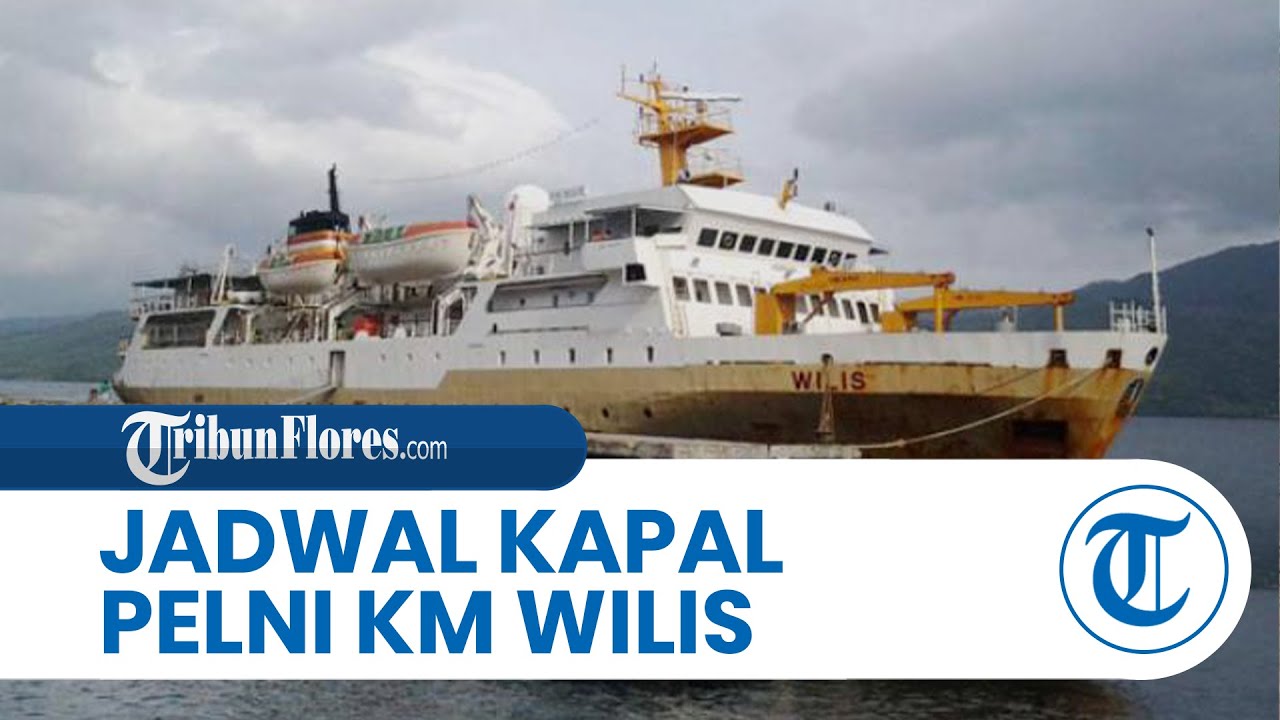 Jadwal Kapal Pelni KM Wilis 10-20 Januari, Dari Kalabahi hingga Batulicin 2 Kali, Lewat Kupang, Bima