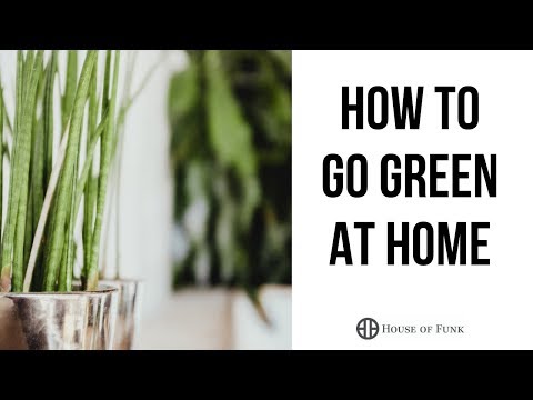 how-to-go-green-at-home:-eco-friendly-interior-design