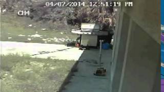 Daytime crooks caught on camera Crime Stoppers video