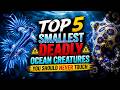 Top 5 Smallest Deadly Ocean Creatures You Should NEVER Touch