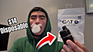 Are Catalyst Disposables Good?(Disposable review‼️)