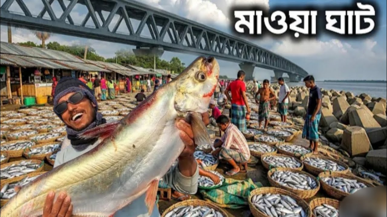 মাওয়া ঘাটে মাছে ভরপুর দাম ও অনেক কম তাই পদ্মার পেতে হলে চলে আসুন মাওয়া ঘাটে#viral #freshwaterfish 