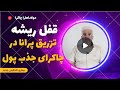 قفل ریشه و ارتباط چاکرای اول با امور مالی پاکسازی چاکراها با چهار کالبد