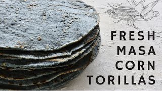 Homemade Corn Tortillas & Fresh Masa
