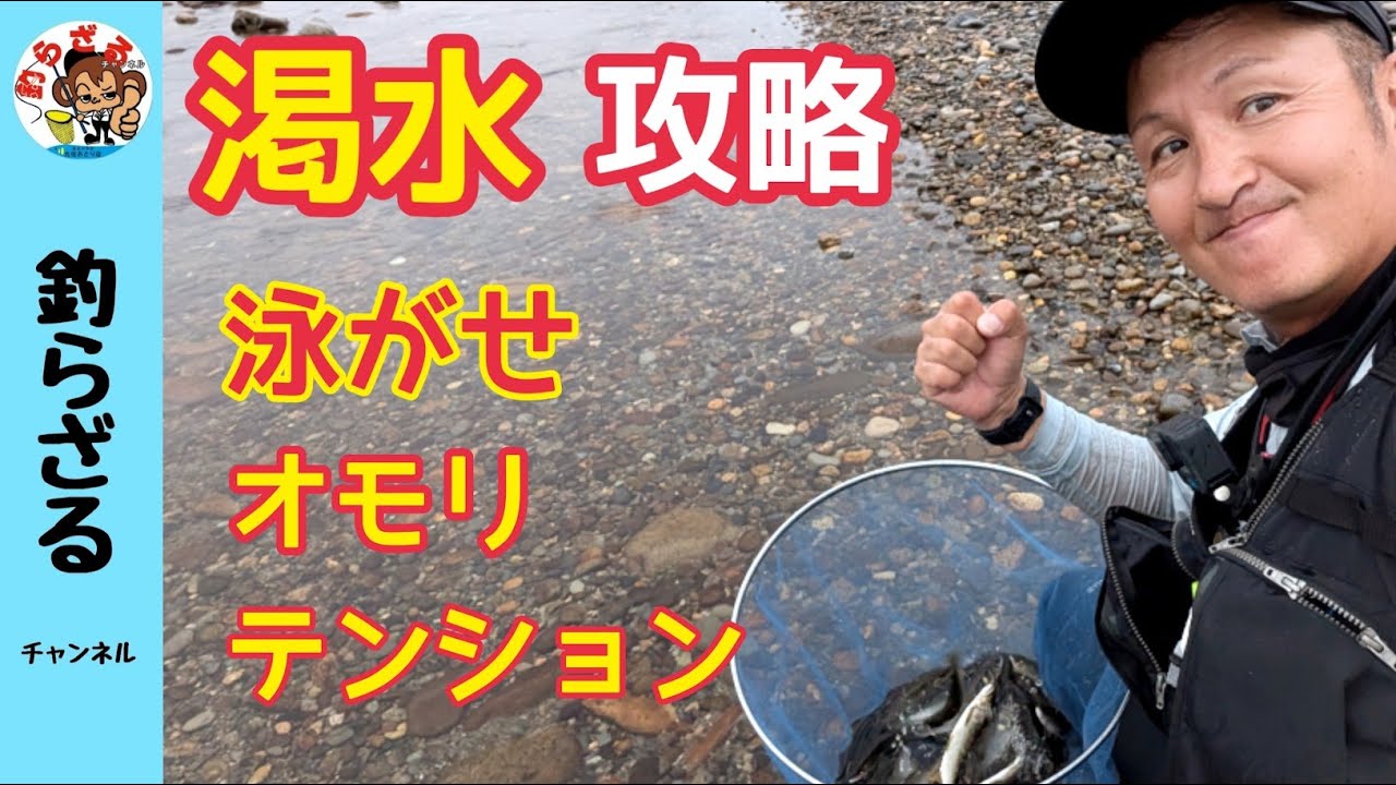 【鮎釣り2024】渇水時の攻略！泳がせ、オモリ、テンションコントロール