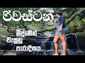 Best Place To Visit In Matale Best Road Tour Hidden Waterfall In Riverstone Sri Lanka Vlog 21