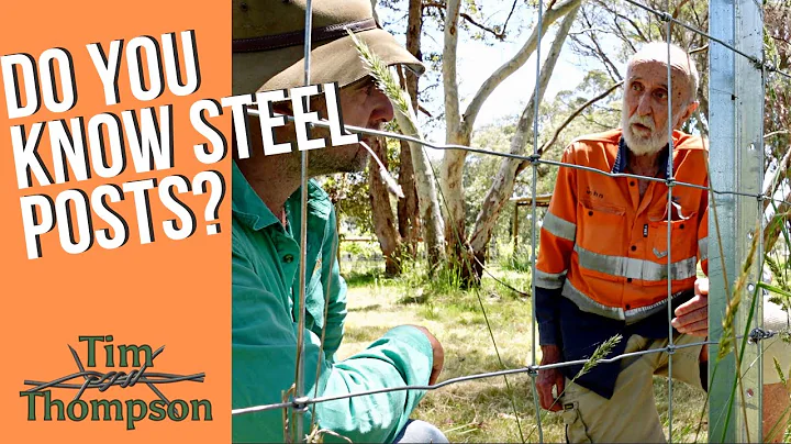 Do You Know Steel Fence Posts?
