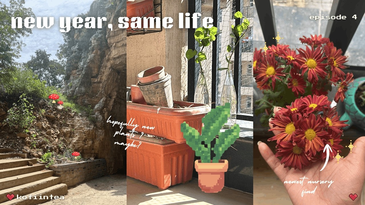 New Year, Same life | parks,plants and more