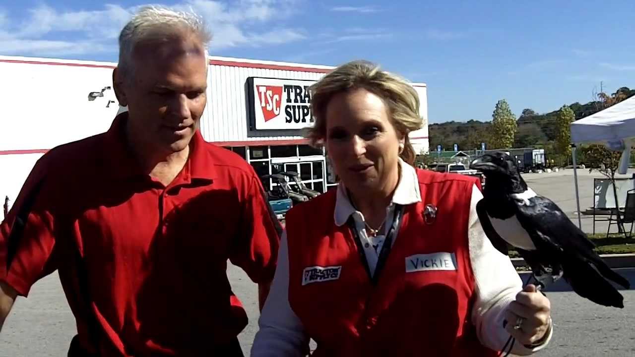 Tractor Supply Part 2 YouTube