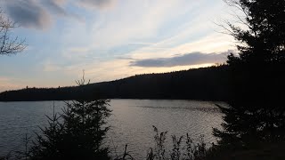 Pour une dernière nuit
